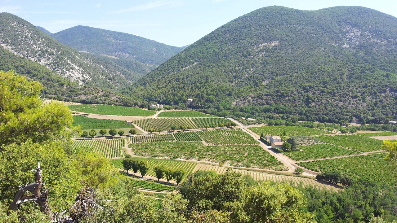 Photo of Others in Venterol