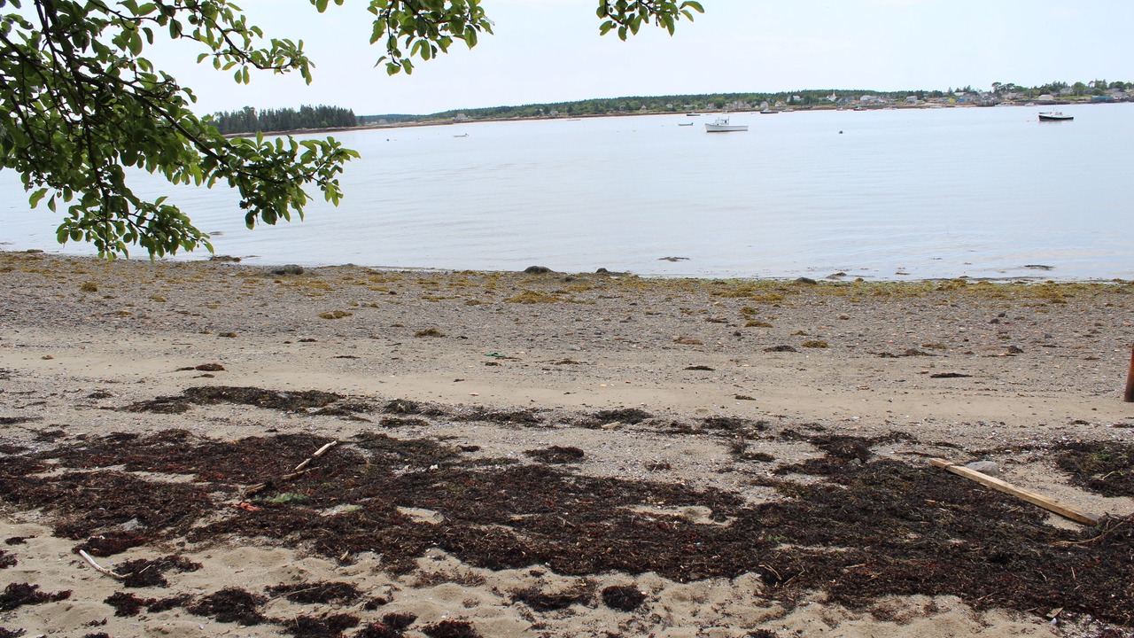 Photo of Others in Jonesport