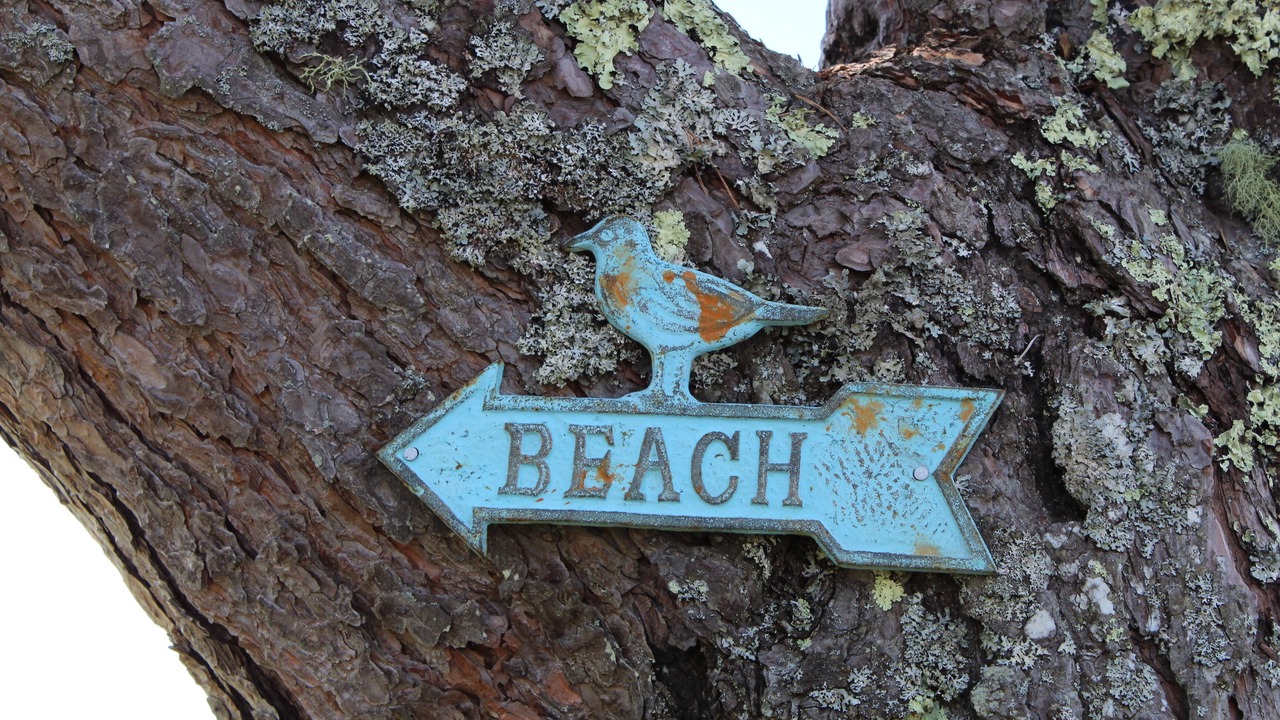 Photo of Others in Jonesport