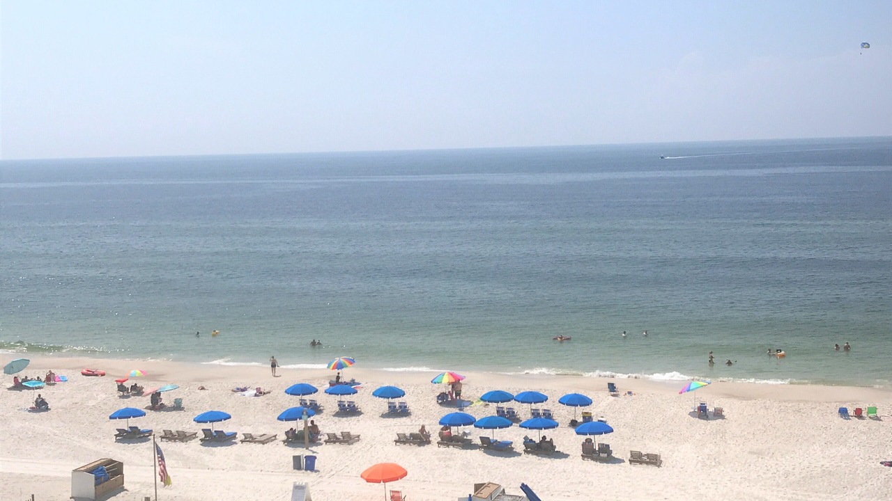 Photo of Others in Gulf Shores