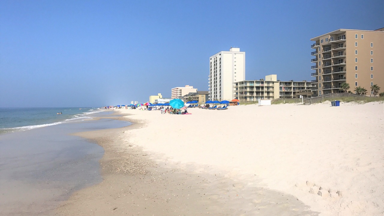 Photo of Others in Gulf Shores