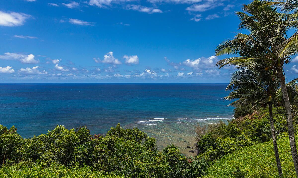 Photo of Others in Princeville