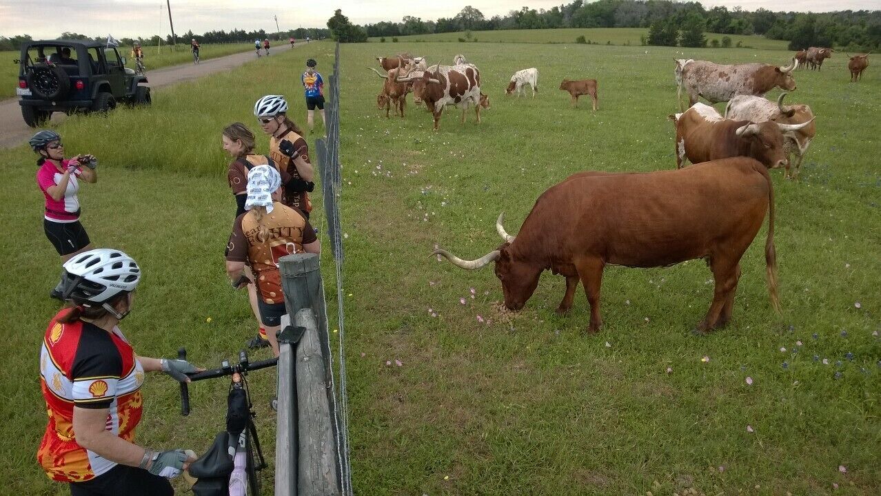 Photo of Others in Fayetteville