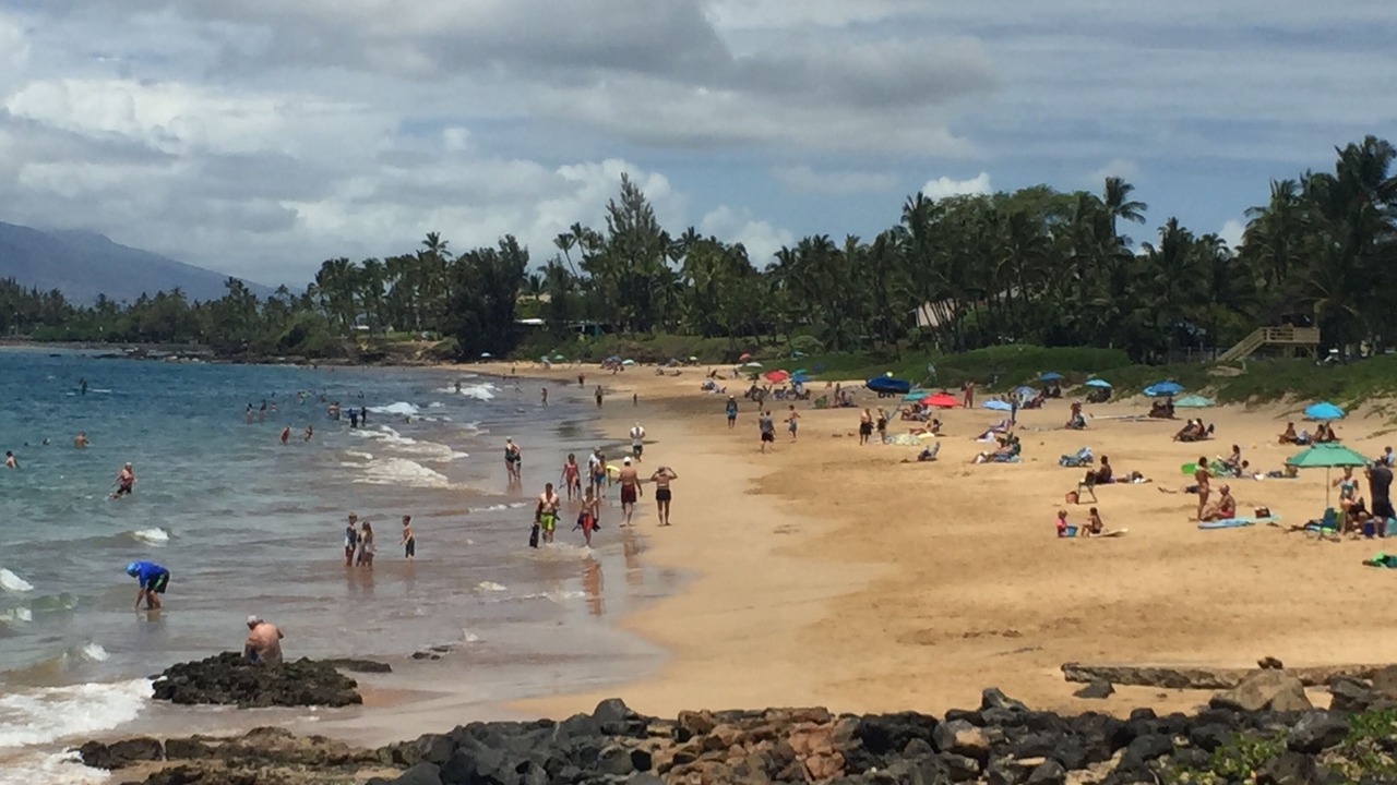 Photo of Others in Kihei