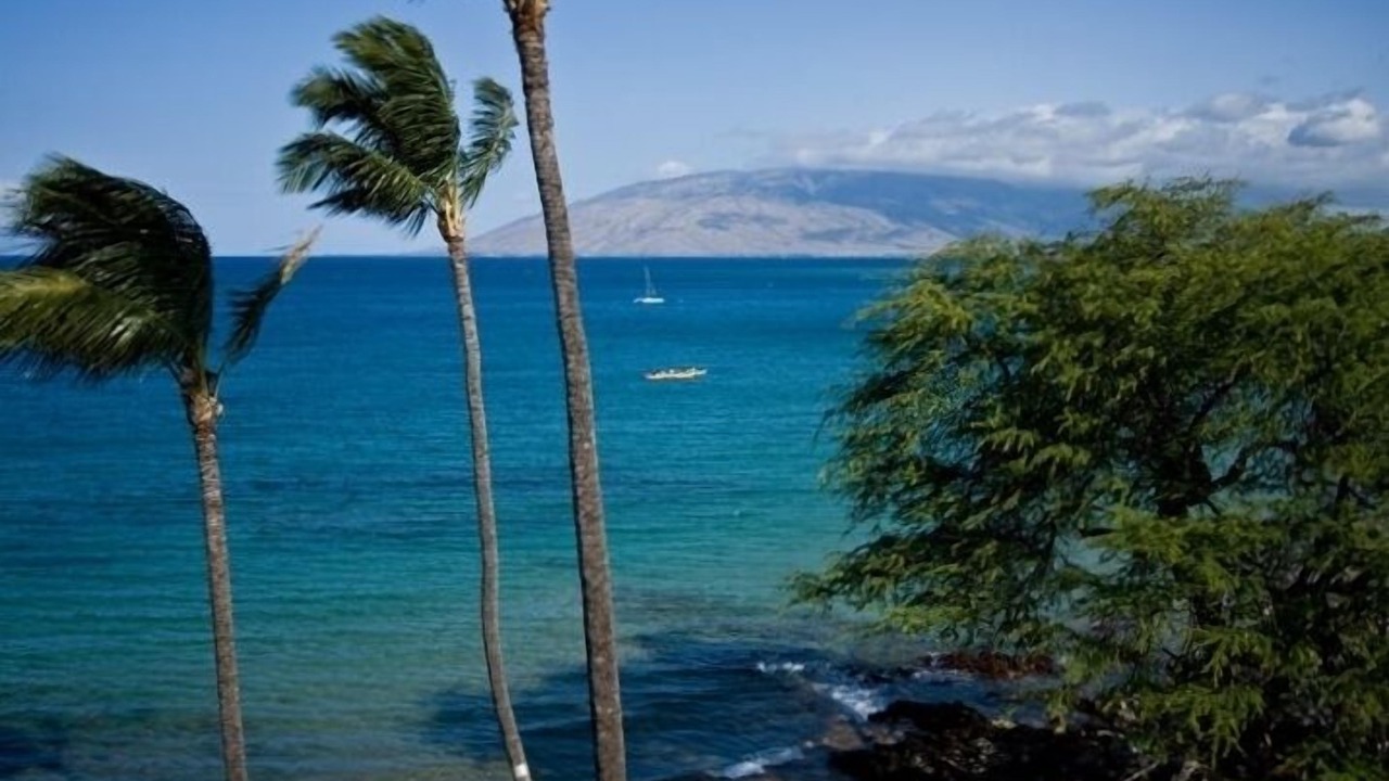 Photo of Others in Kihei