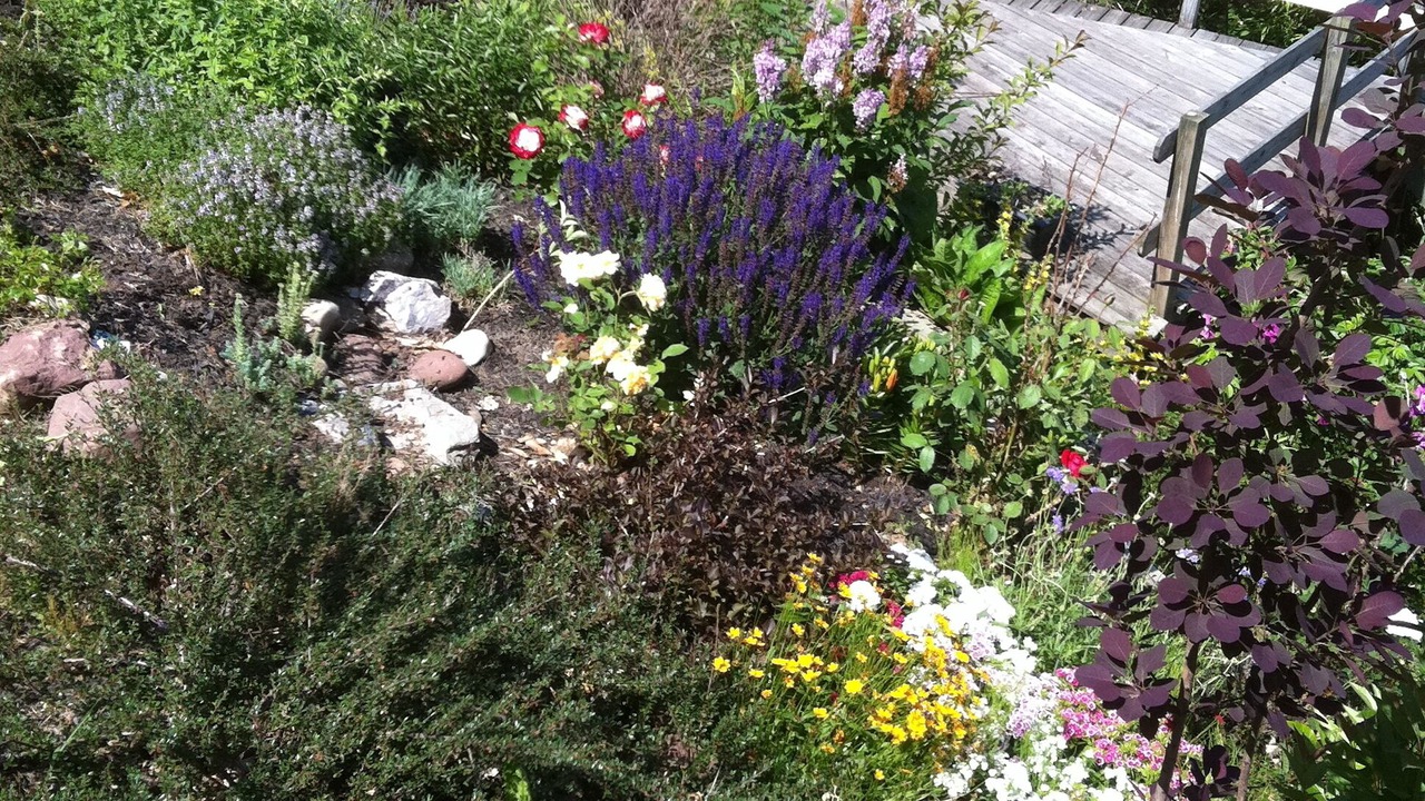 Photo of Outdoor in North Rose