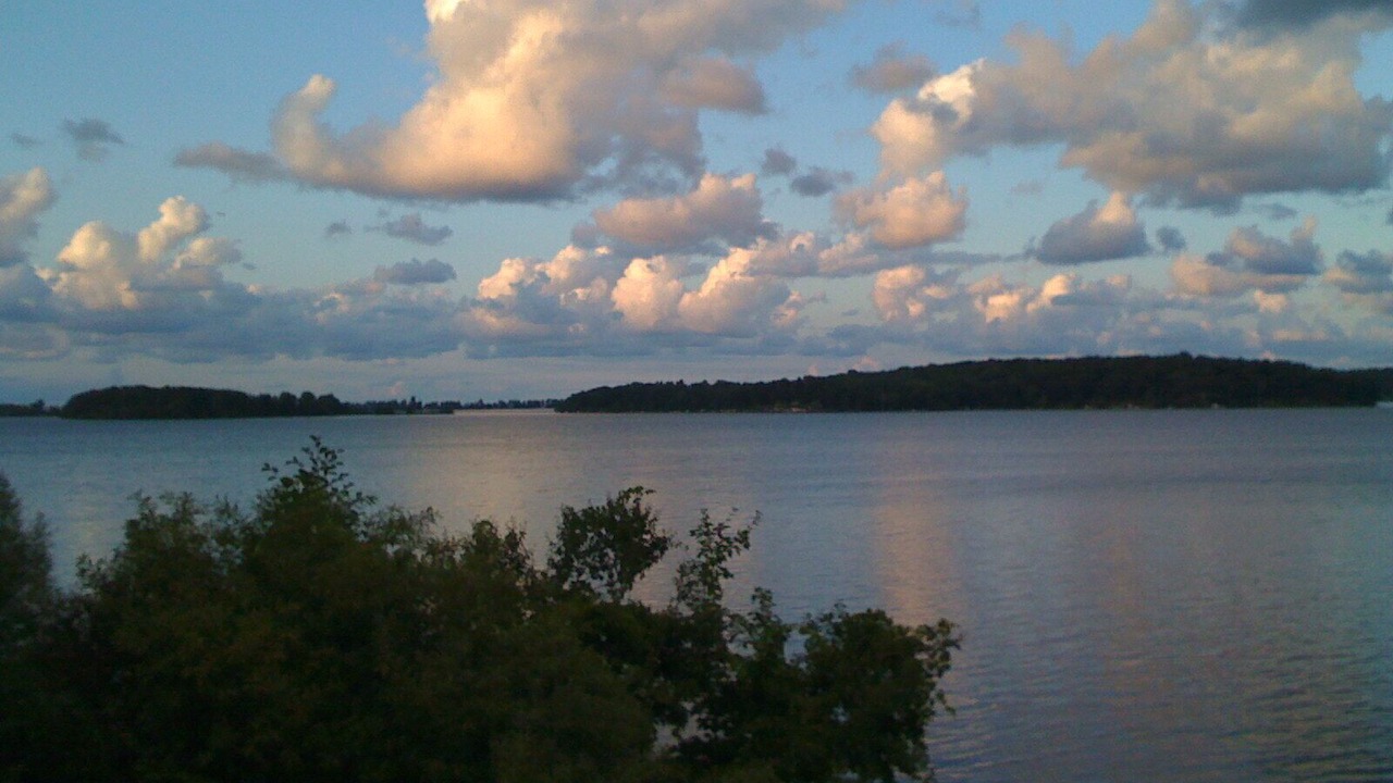 Photo of Others in North Rose