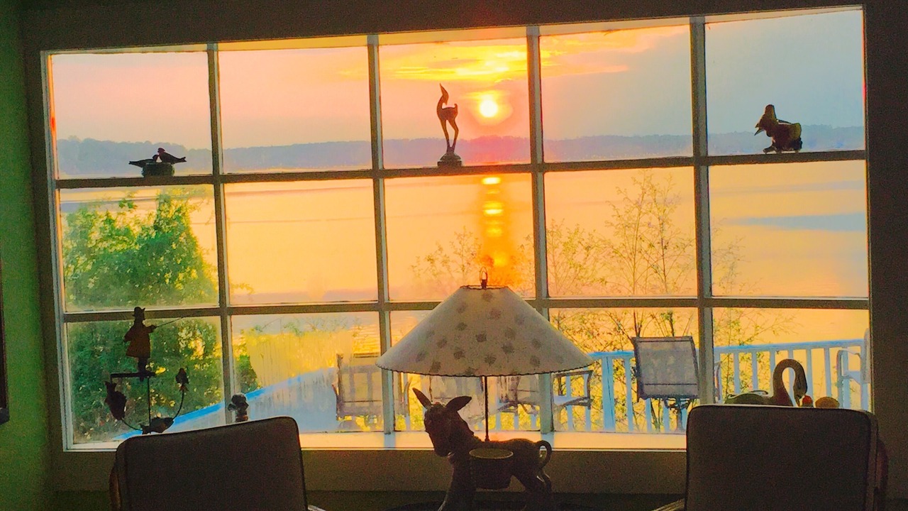 Photo of Others in North Rose
