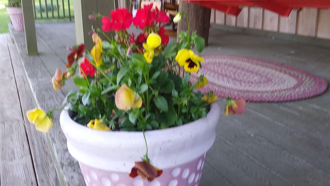 Photo of Patio Balcony in Richford
