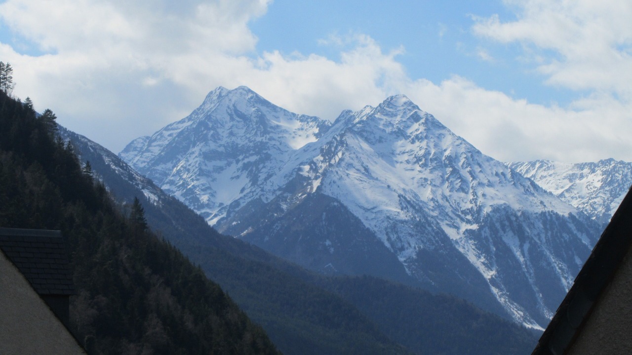 Photo of Others in Camparan
