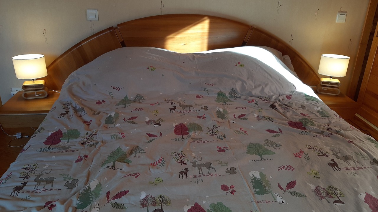 Photo of Bedroom in Camparan