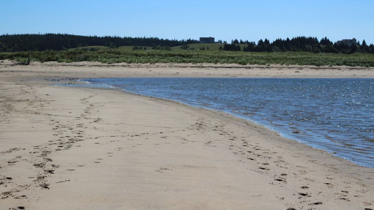 Photo of Others in Lower LaHave