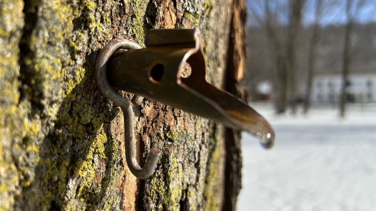 Photo of Others in Rupert