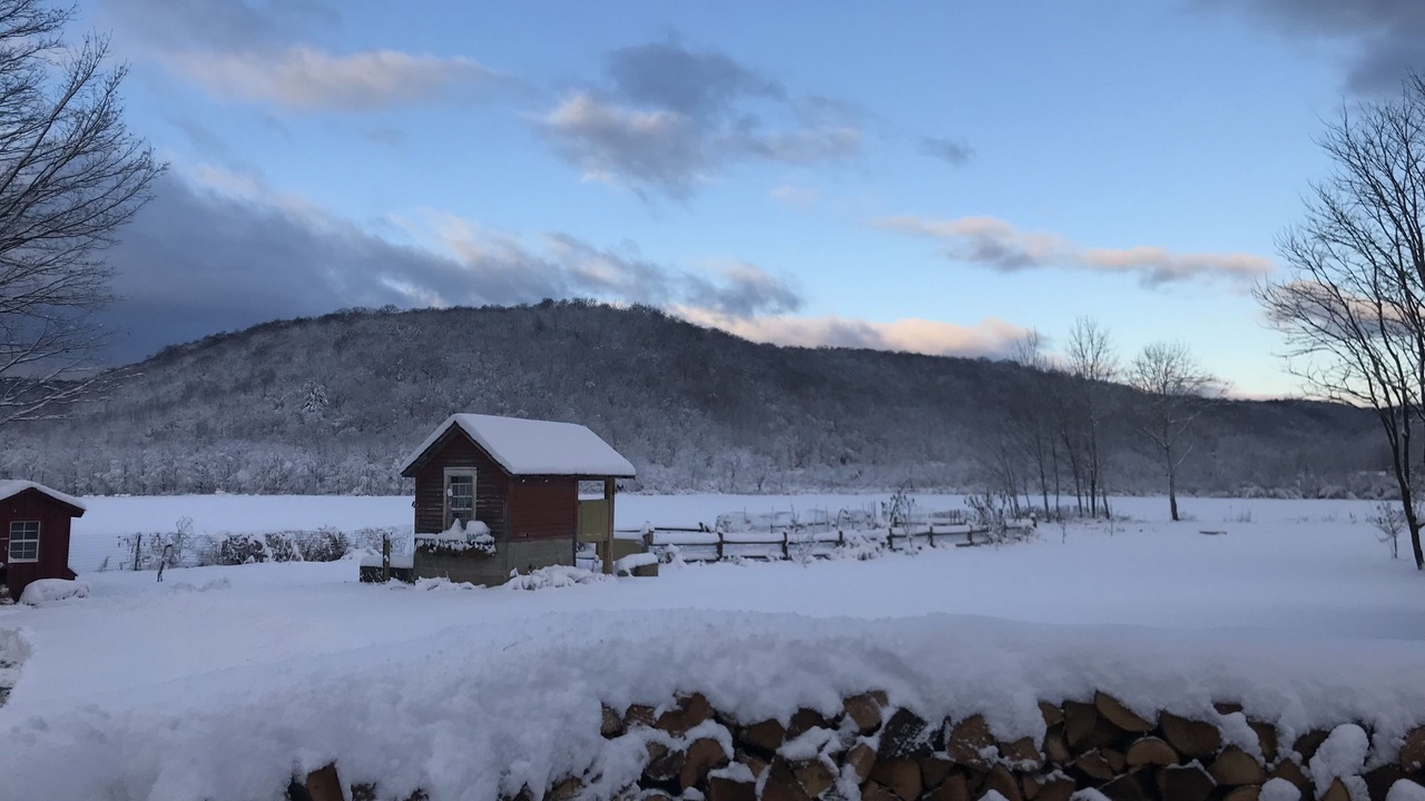 Photo of Others in Rupert