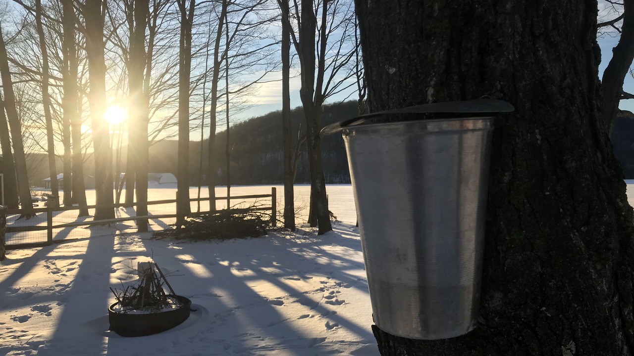 Photo of Others in Rupert