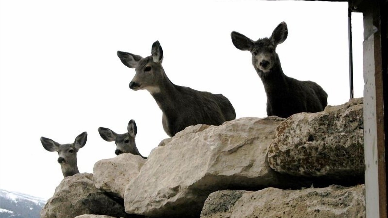 Photo of Others in Gardiner