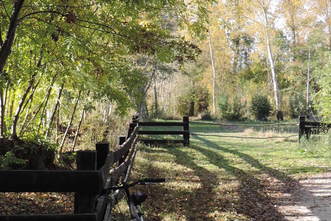 Photo of Outdoor in Saint-Hilaire-la-Palud