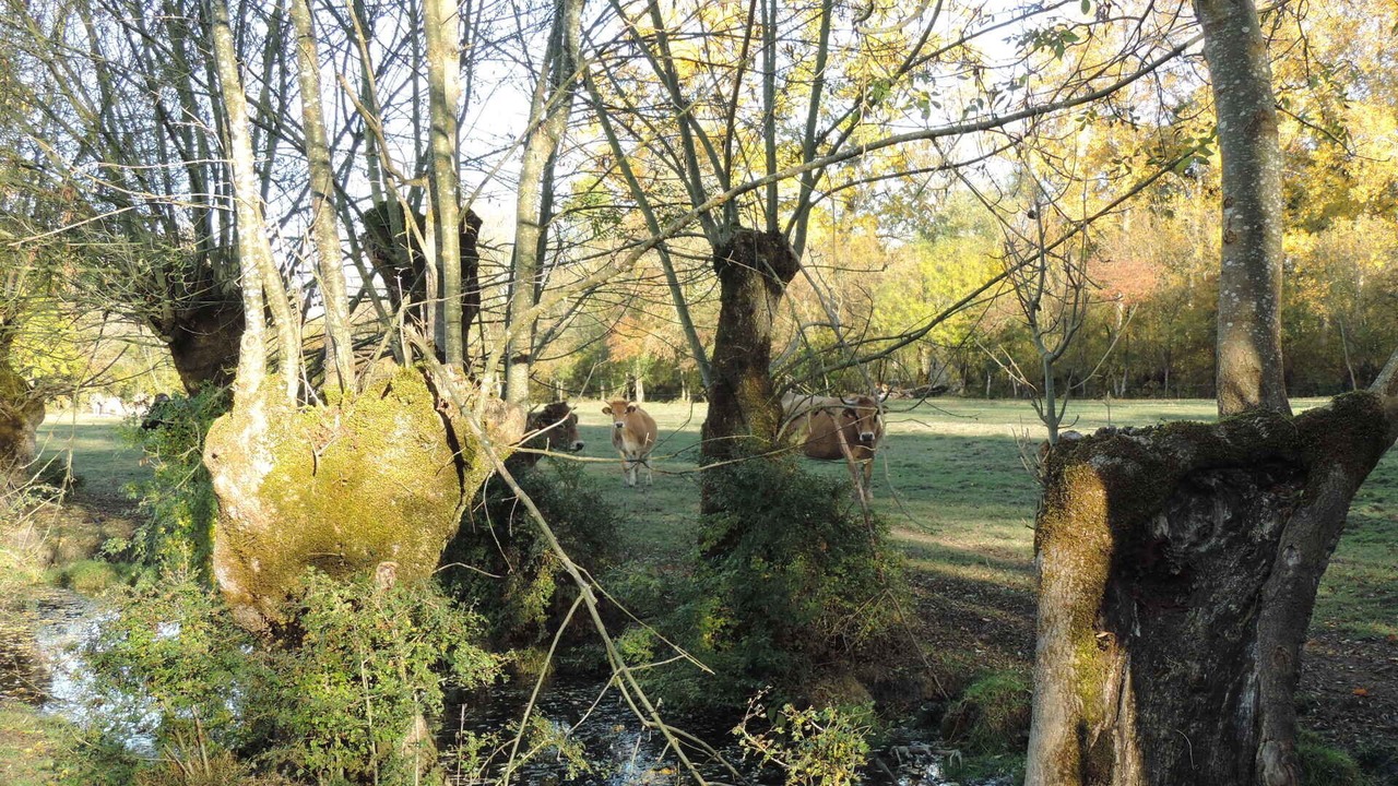Photo of Outdoor in Saint-Hilaire-la-Palud