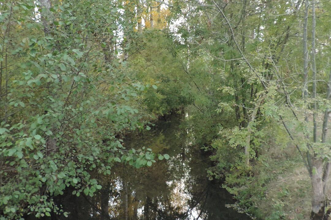 Photo of Patio Balcony in Saint-Hilaire-la-Palud