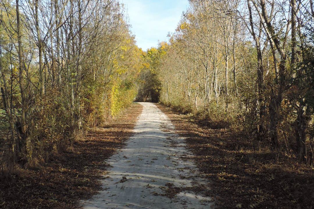 Photo of Outdoor in Saint-Hilaire-la-Palud