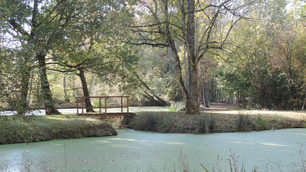 Photo of Outdoor in Saint-Hilaire-la-Palud