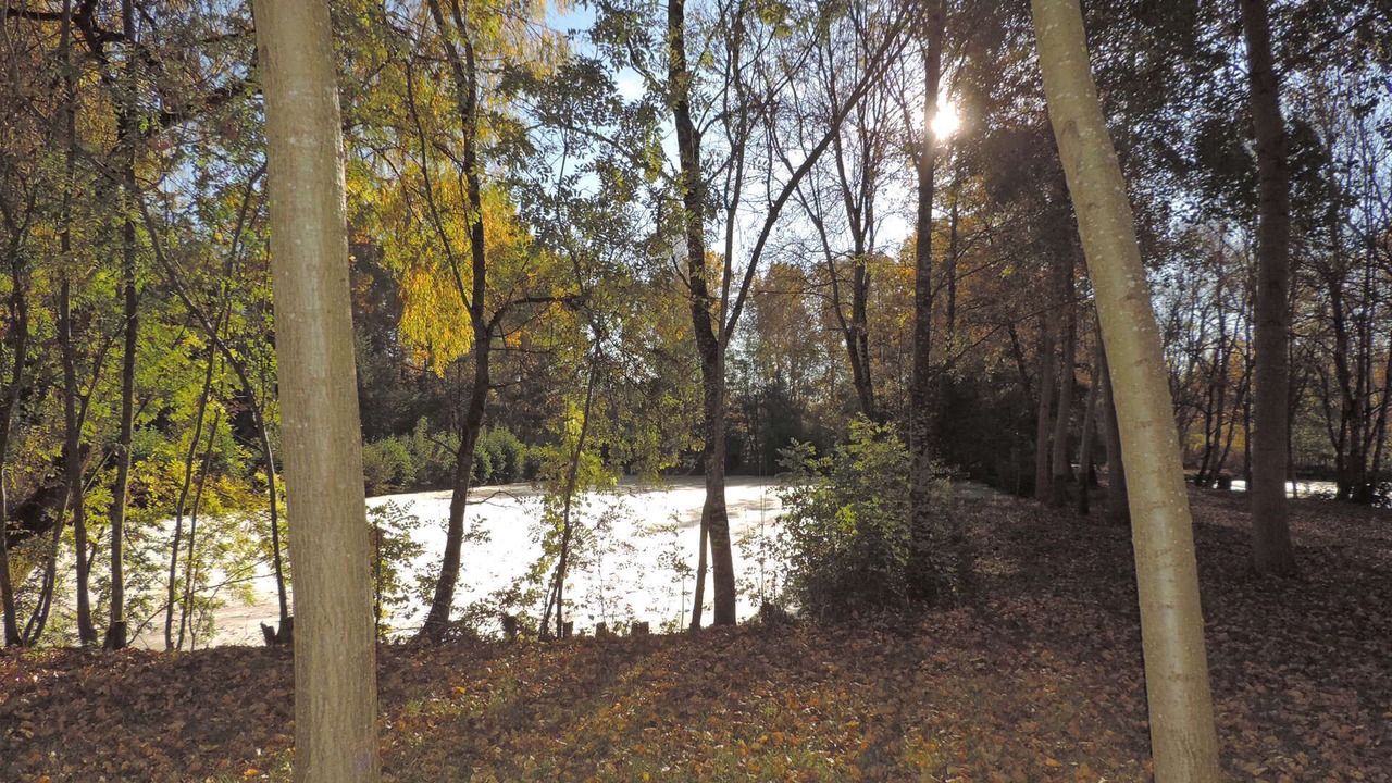 Photo of Outdoor in Saint-Hilaire-la-Palud