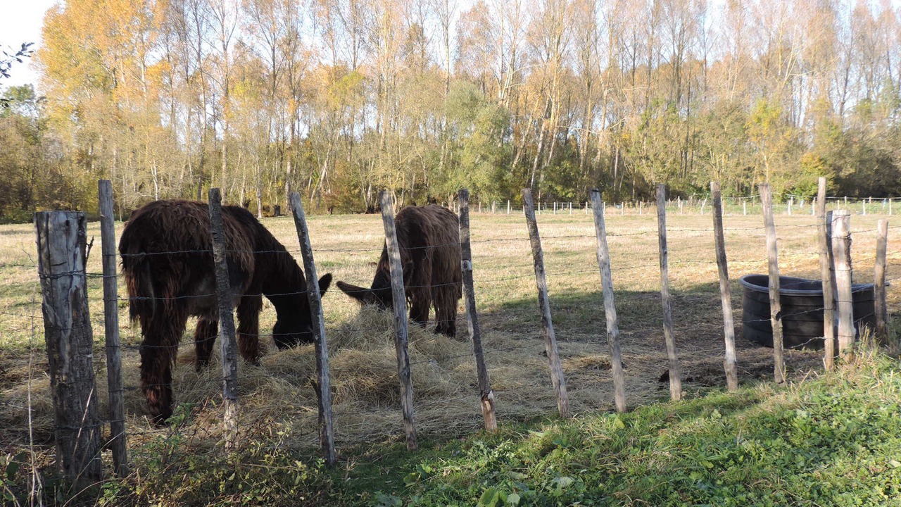 Photo of Outdoor in Saint-Hilaire-la-Palud