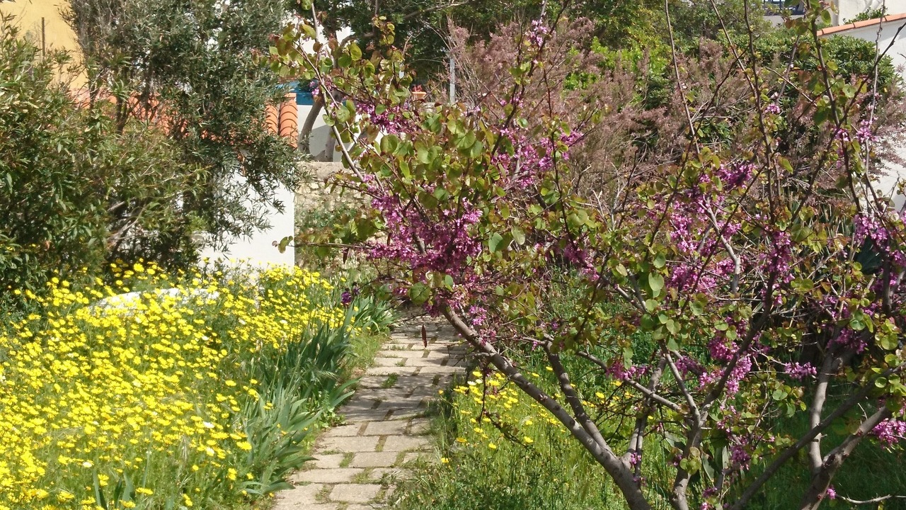 Photo of Outdoor in Endoume