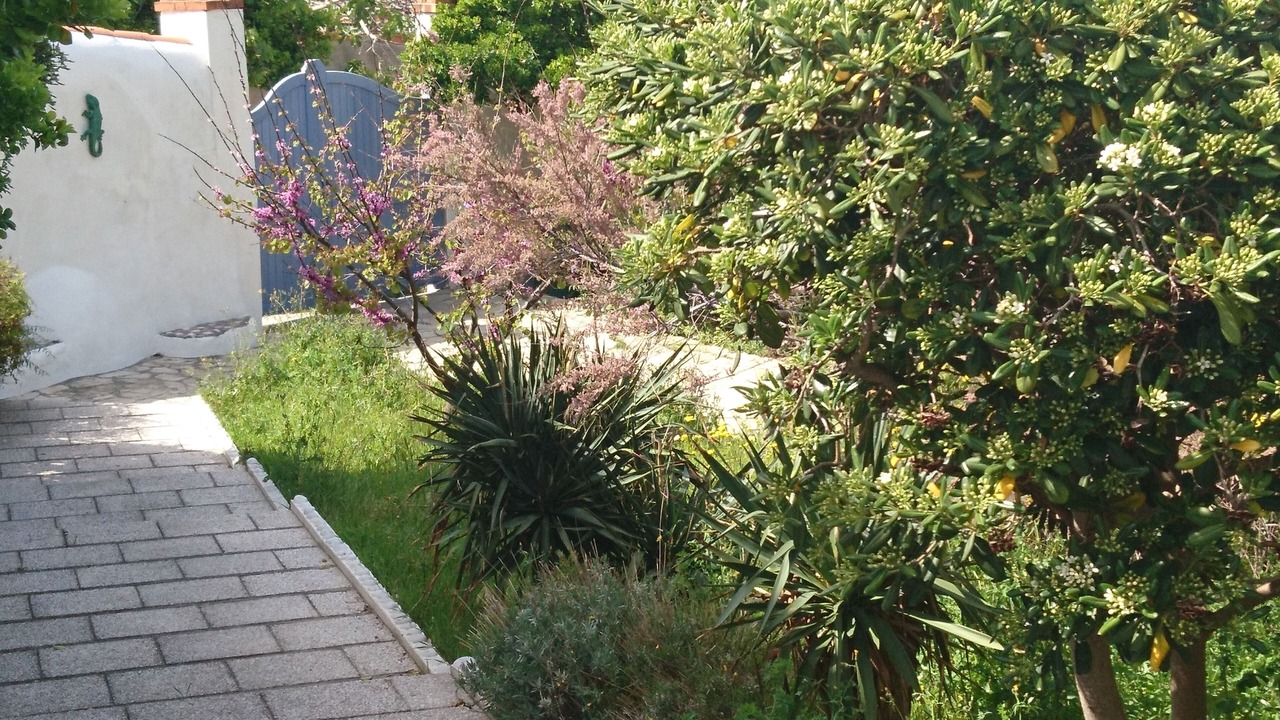 Photo of Outdoor in Endoume