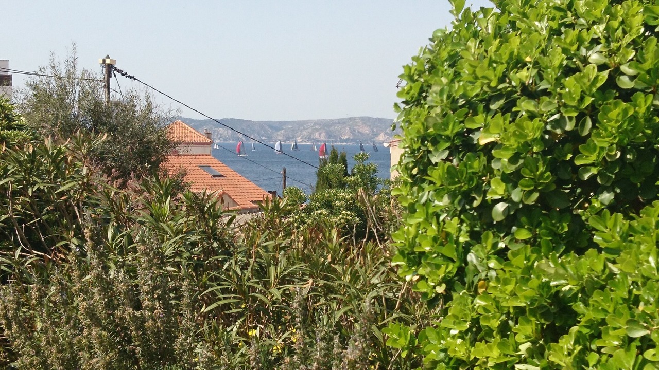 Photo of Others in Endoume