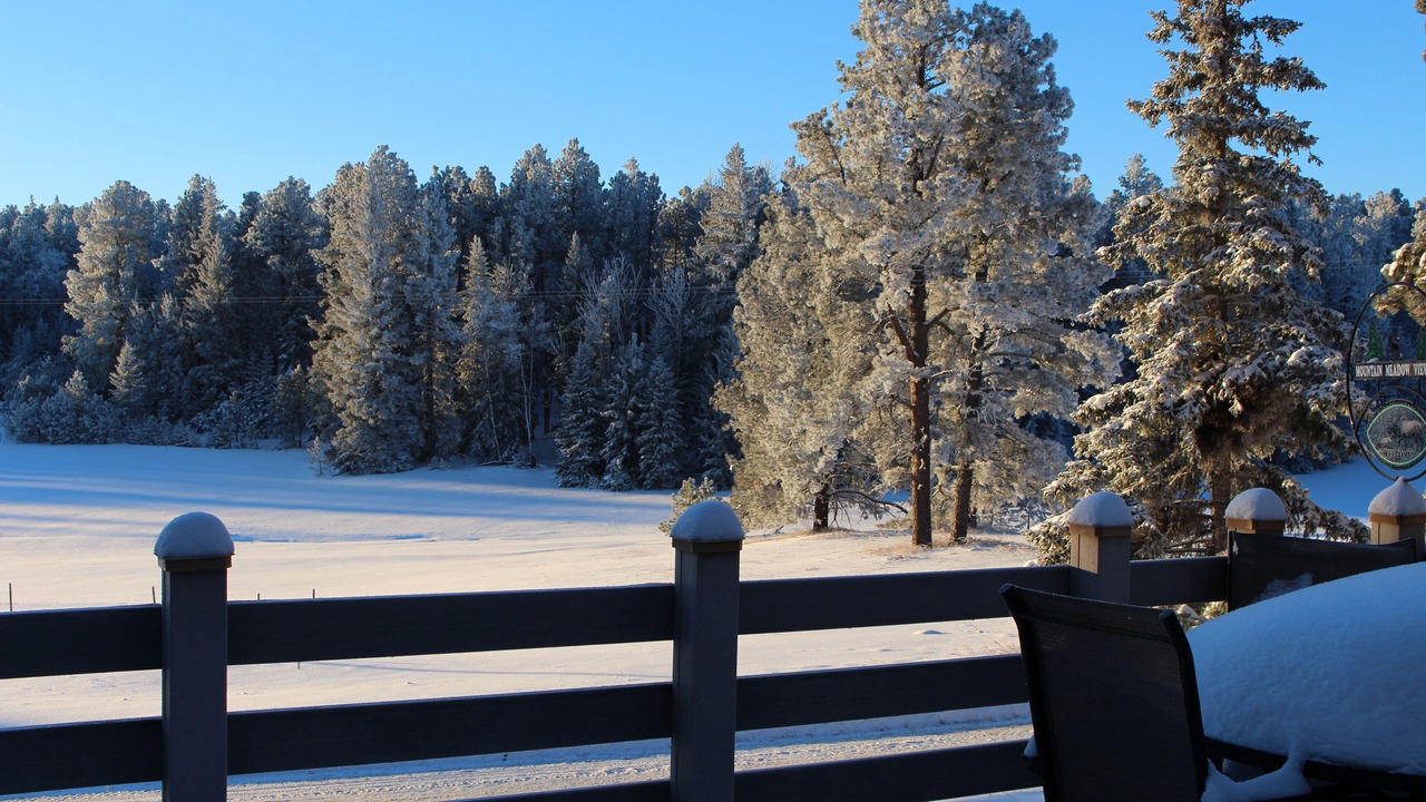 Photo of Others in Deadwood