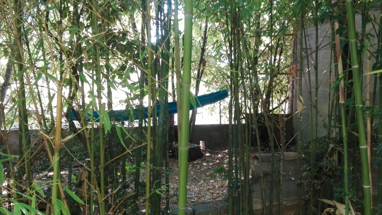 Photo of Outdoor in Laudun