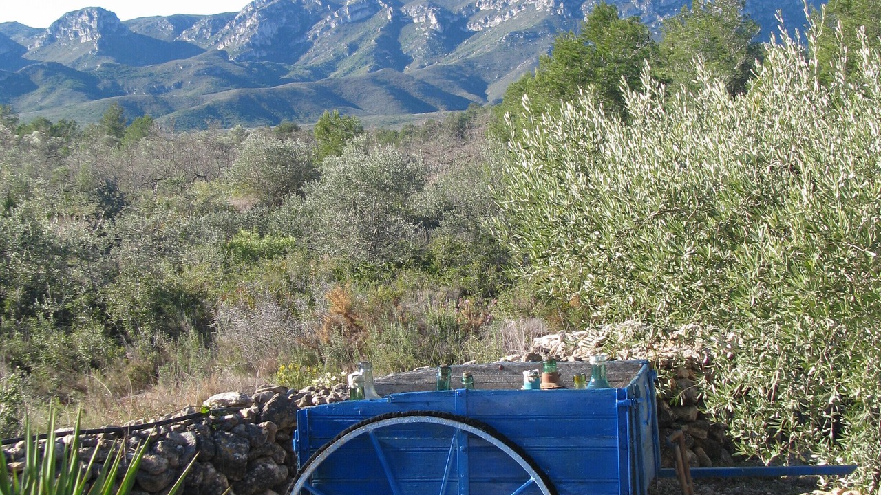 Photo of Outdoor in El Perello