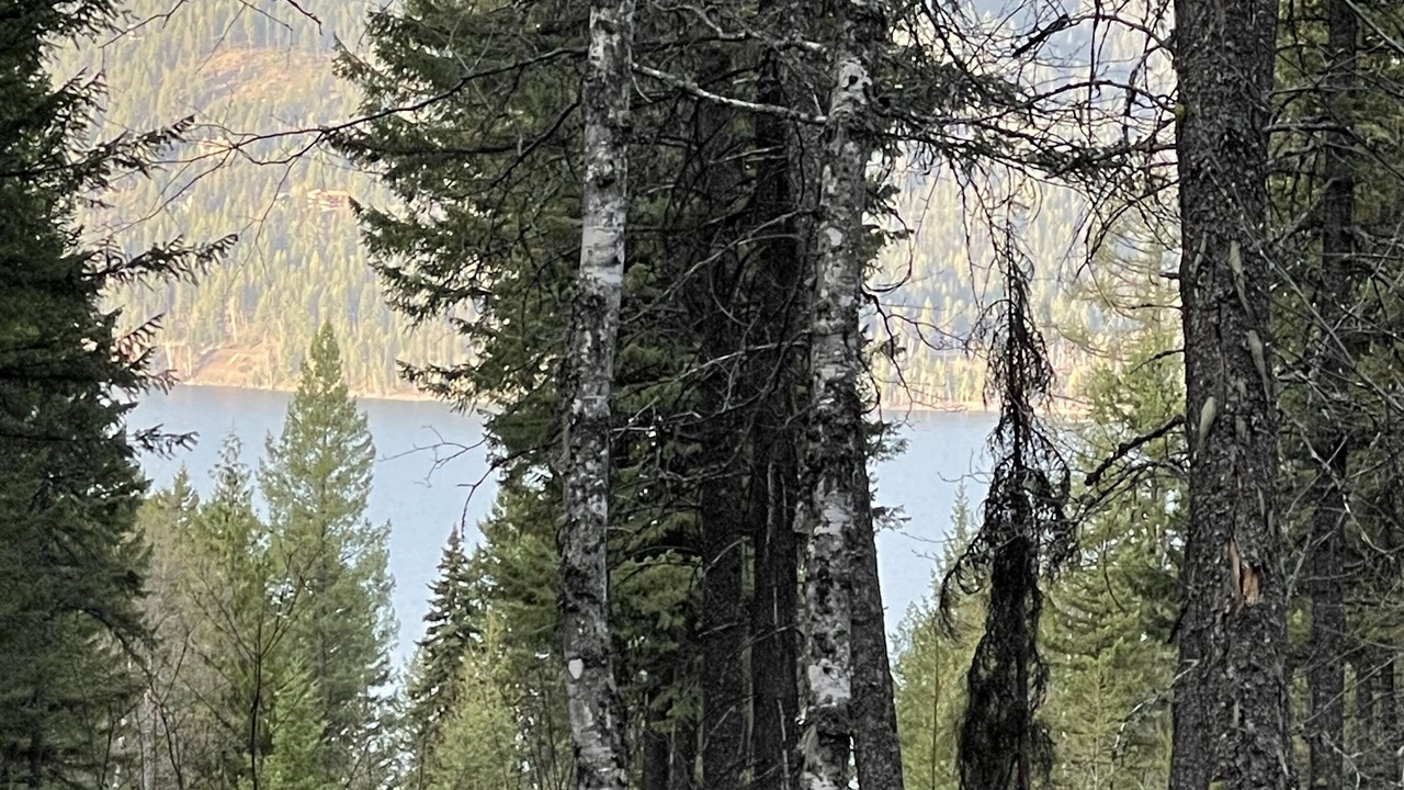 Photo of Others in Whitefish
