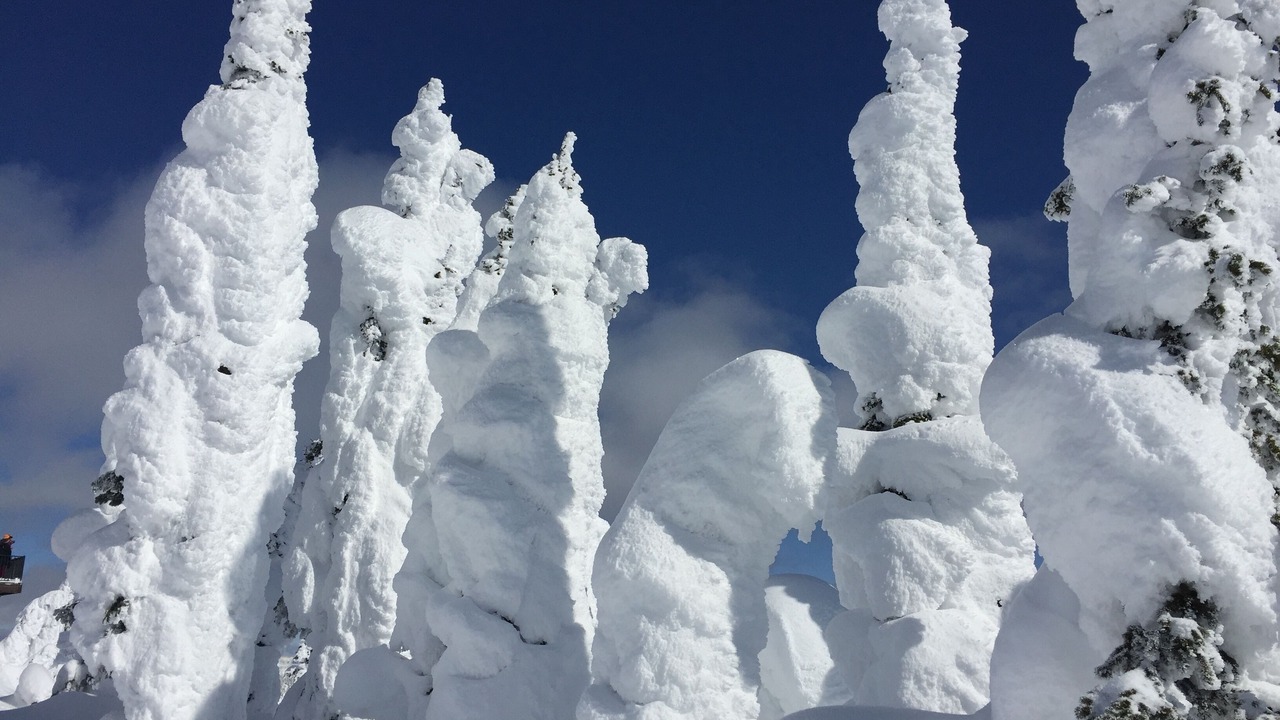 Photo of Others in Whitefish