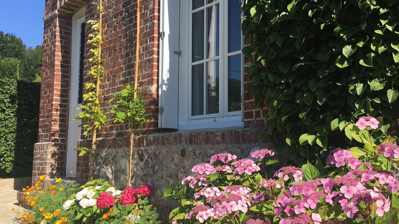 Photo of Outdoor in Saint-Martin-aux-Buneaux