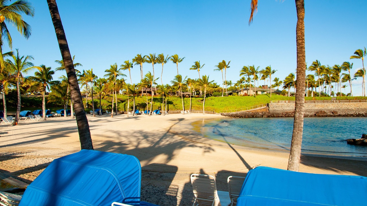 Photo of Others in Kamuela