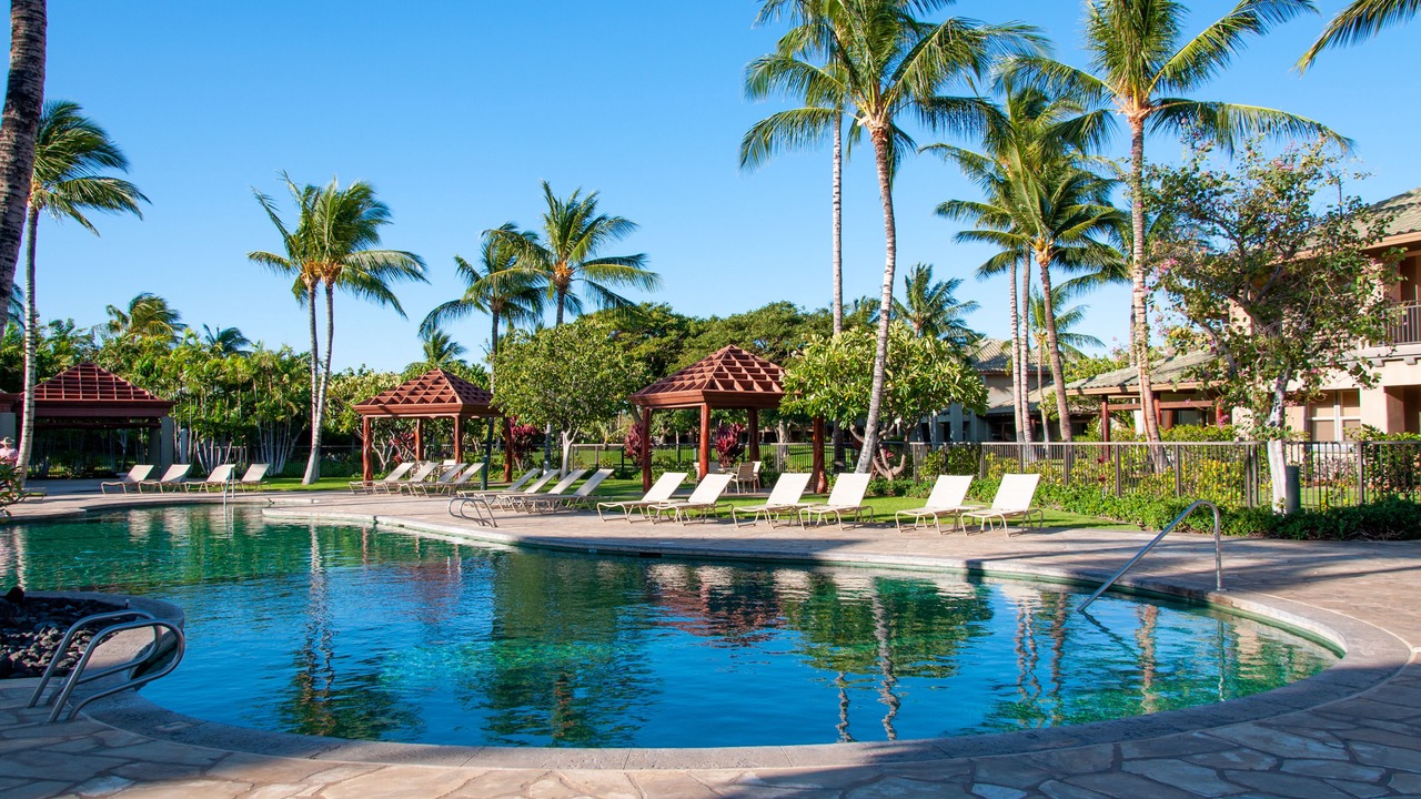 Photo of Outdoor in Kamuela