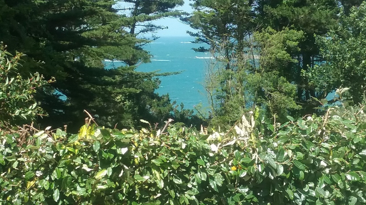 Photo of Outdoor in Plouguerneau