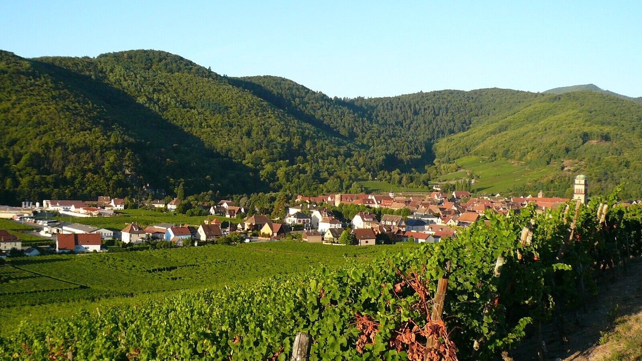 Photo of Outdoor in Kaysersberg