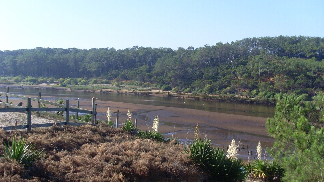 Photo of Others in Contis-les-Bains