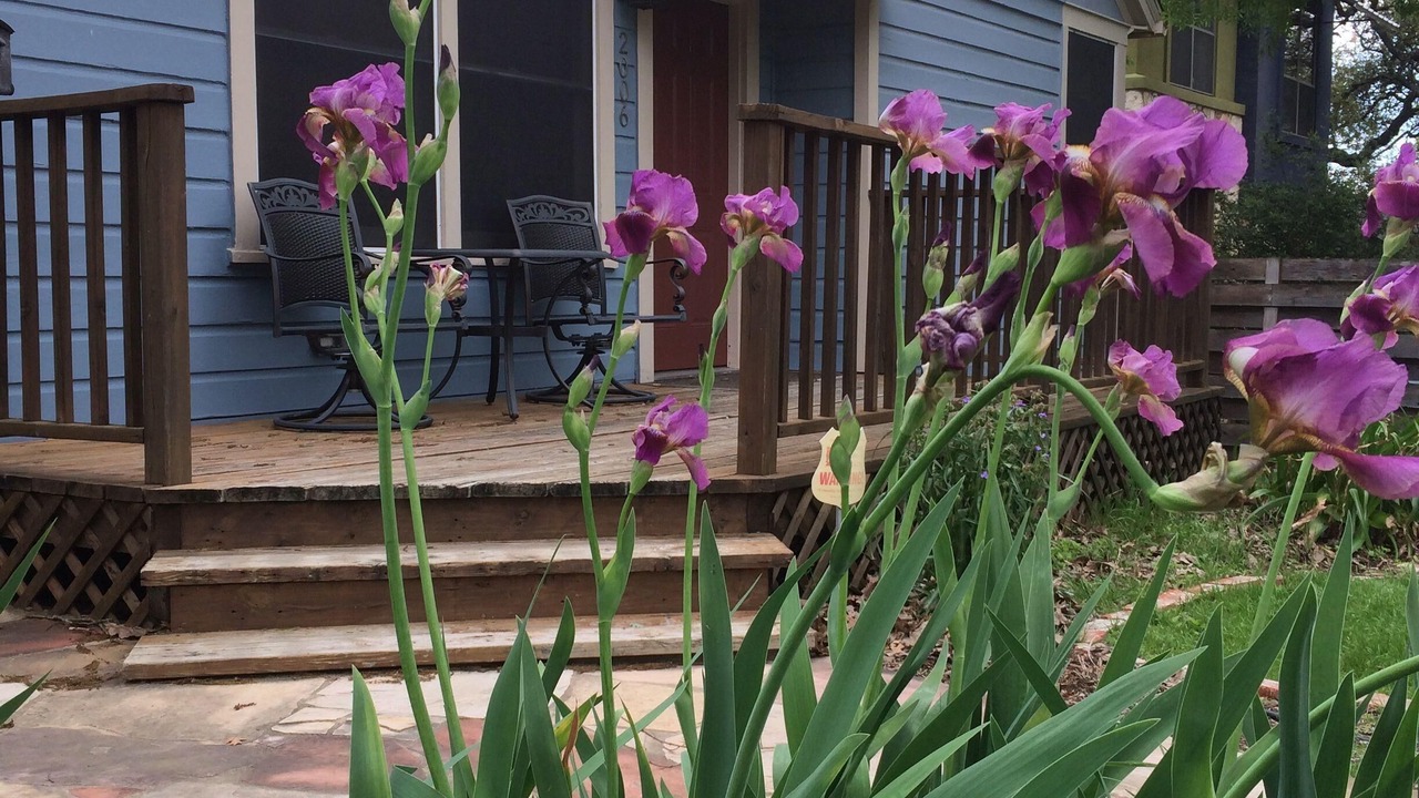 Photo of Patio Balcony in Zilker