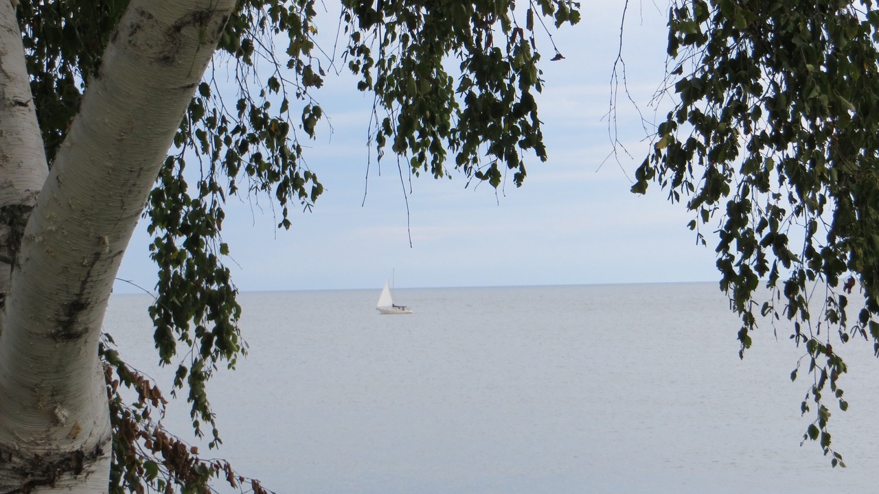 Photo of Others in Olcott