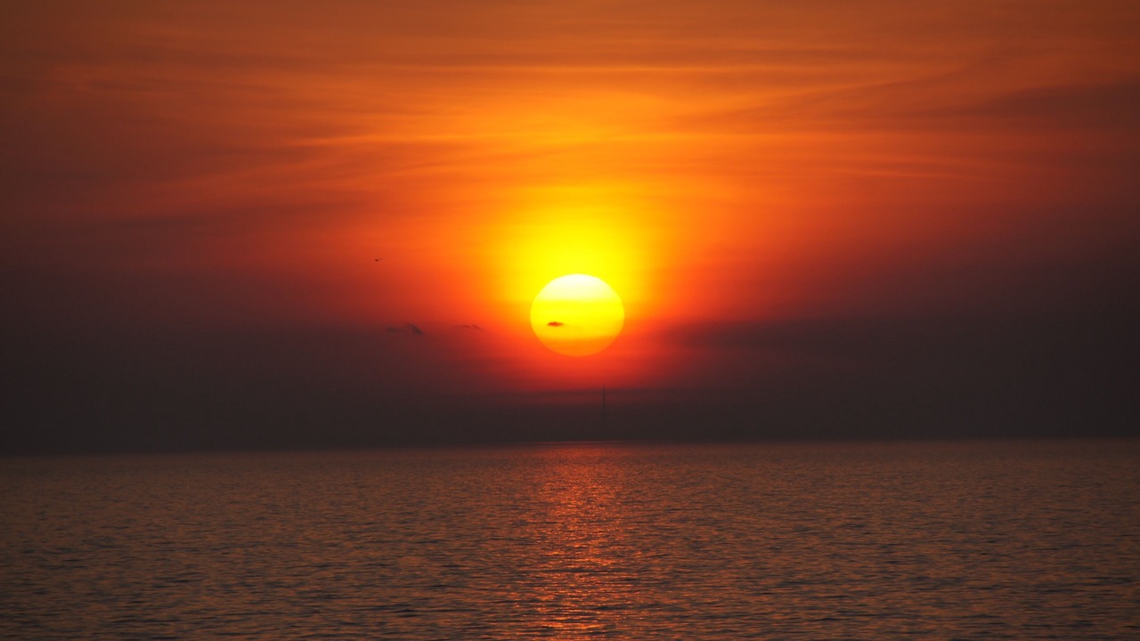 Photo of Others in Olcott