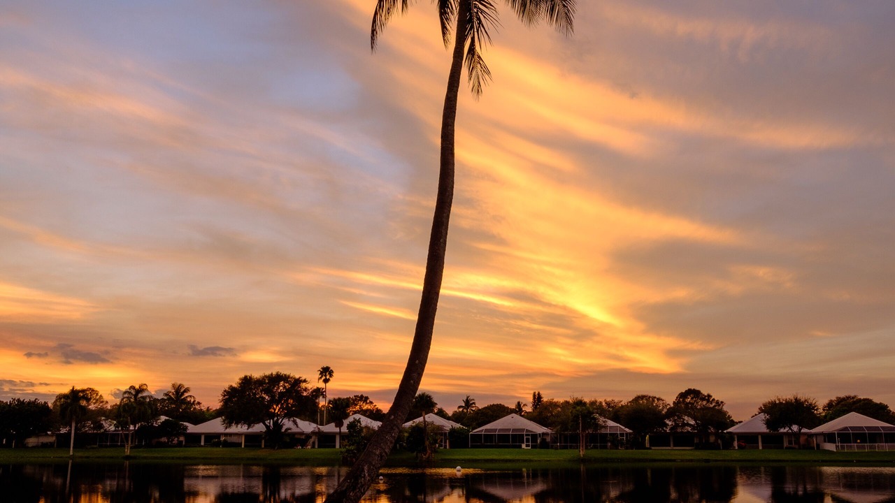 Photo of Outdoor in West Palm Beach
