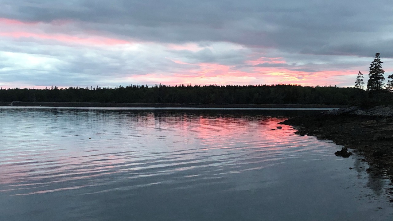 Photo of Others in Bernard