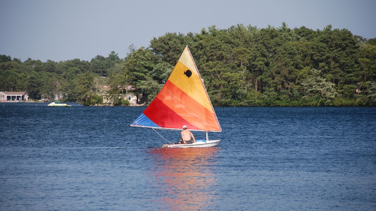 Photo of Others in Ponds of Plymouth