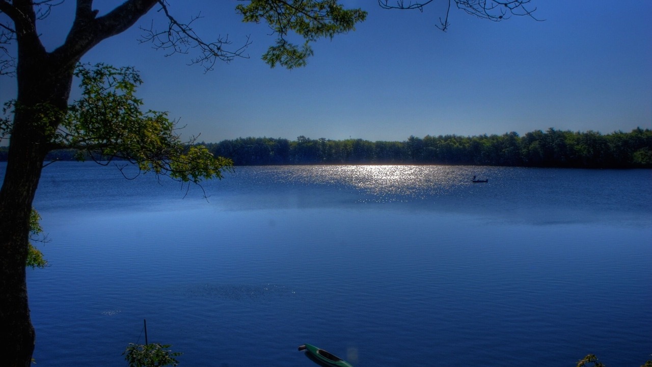 Photo of Others in Ponds of Plymouth
