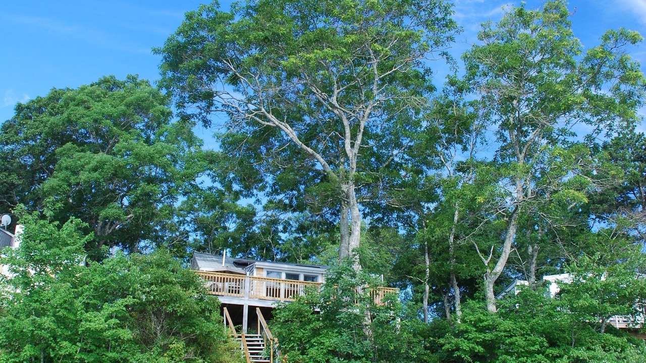 Photo of Outdoor in Ponds of Plymouth