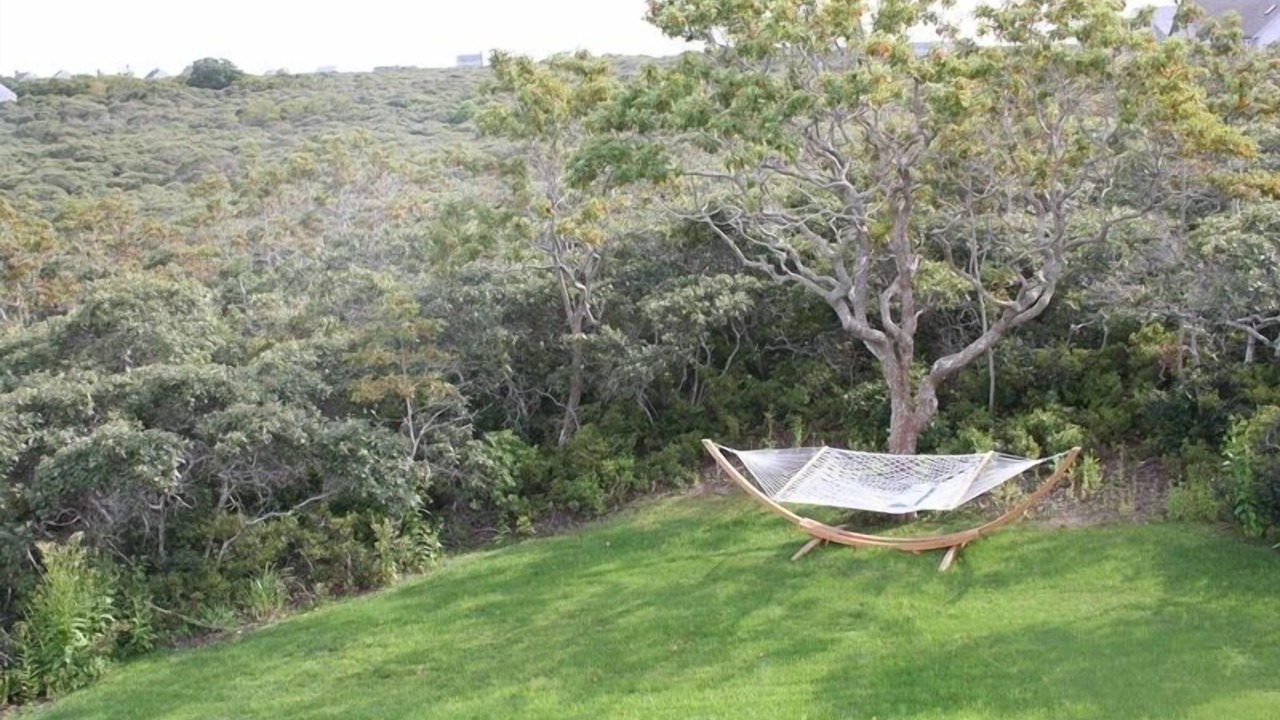 Photo of Others in Tom Nevers